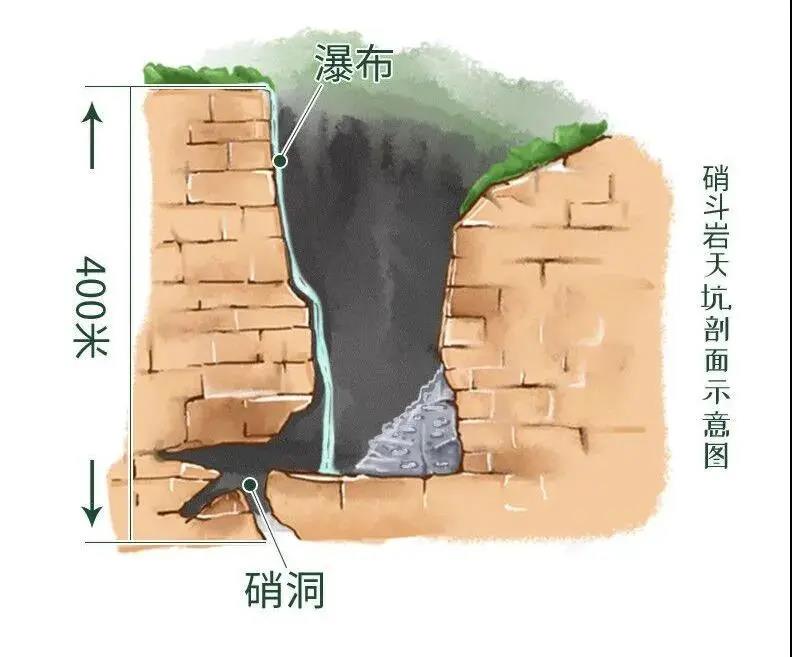 天坑形成原因(天坑形成原因分析)-第1张图片-鲸幼网